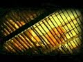 Pathology Stench - Accion Mutante Pathology Stench - Accion Mutante