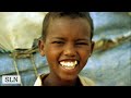 Somaliland dalkayga by Mohamed Ahmed Hussien Shiine, created by Mohamed Ghalib of Somaliland Net