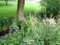 unser park
