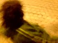 caba en la cuesta de nacasone con pokoyo caba en la cuesta de nacasone con pokoyo