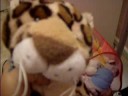 ALL my Webkinz and Where They Came From! (WARNING LONG VIDEO)