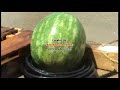 Watermelon Meets Pressure Washer Watermelon Meets Pressure Washer