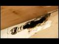Foreclosed home owners out for revenge