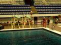 DIVING-205c-3m