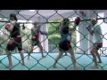 Video Impression Superpro Samui