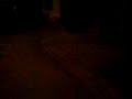 La venganza de la morsa