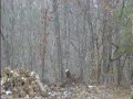 SNOW!