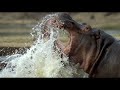 One Life - Trailer