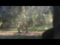 V�deo Praetorians trailer 