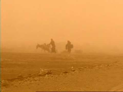 Forging the New Iraq - Iraq