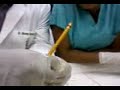 Anatom�a veterinaria: Sistema Nervioso 2