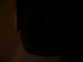 bears-nfc-championship-game.html