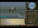 The Guthix Gathering!