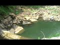 Click here to watch this video Cummins Falls State Park (TNReport.com)
