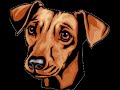 HUMOR: matando o cão! rsrsrsrsMOOD: killing the dog! rsrsrsrsHUMEUR: tuer le chien ! rsrsrsrsHUMOR: ¡matar el perro! rsrsrsrsUMORE: uccisione del cane! rsrsrsrs??????????: ??????? ??????! rsrsrsrsSTIMMUNG: Töten des Hundes! rsrsrsrsSTEMMING: het doden van de hond! rsrsrsrs======================A domesticação de animais ou plantas é um processo utilizado desde a pré-história. Consiste na seleção e adaptação de certos seres vivos, considerados úteis para suprir necessidades humanas, para a vida em associação íntima com os seres humanos e com outras espécies. Ao longo de milhares de anos, esse processo acarretou modificações em várias características originais dos seres vivos domesticados, chegando em muitos casos ao desenvolvimento de dezenas de raças, como os cães e gatos.Outros exemplos de animais domésticos são o cavalo, vaca, porco, cabra, coelho, ovelha e várias aves como a galinha. Muitos deles são utilizados na pecuária. As plantas domésticas são inúmeras e vão desde as utilizadas em residências até às cultivadas na agricultura.A domesticação acompanha a História da civilização, sendo benéfica para o desenvolvimento da mesma, porém é extremamente prejudicial à natureza e à ecologia, já que, em contraste com a seleção natural, a domesticação provoca uma seleção artificial de alguns seres vivos em detrimento de outros que o ser humano procura eliminar por considerar hostis à sua sobrevivência. A domesticação, desse modo é um fator de redução da biodiversidade. Um exemplo no Brasil é o abate de onças que se alimentam de gado. A agricultura acarreta a devastação de florestas naturais e em seu lugar são instaladas monoculturas. O habitat e os alimentos de animais selvagens são dessa forma destruídos.A domesticação acaba sendo ao mesmo tempo benéfica e maléfica ao ser humano, pois este também sofre as conseqüências de problemas ambientais gerados pela domesticação em grande escala.fonte: http://pt.wikipedia.org/wiki/Domestic...============The creation of animals or plants is a process used since daily pay-history. It consists of the election and adaptation of certain beings livings creature, considered useful to supply necessities human beings, for the life in close association with the human beings and other species. Throughout thousand of years, this process caused modifications some original characteristics of the beings domesticated livings creature, arriving in many cases at the development of sets of ten of races, as the dogs and cats. Other examples of domestic animals are the horse, cow, pig, goat, rabbit, sheep and some birds as the hen. Many of them are used in the cattle one. The domestic plants are innumerable and go since the used ones in residences until the cultivated ones in agriculture. The creation of animals folloies the History of the civilization, being beneficial for the development of the same one, however it is extremely harmful to the nature and the ecology, since, in contrast with the natural election, the domesticação provokes an artificial election of some beings livings creature in detriment of that the human being search to eliminate for considering hostile to its survival. The creation of animals, in this manner is a factor of reduction of biodiversity. An example in Brazil abates is it of ounces that if they feed of cattle. Agriculture causes the destruction of natural forests and in its place cultivations are installed. The habitat and the foods of destroyed wild beasts are of this form. The creation of animals finishes being at the same time beneficial and maleficent to the human being, therefore this also suffers the consequences of ambient problems generated by the large-scale creation of animals.