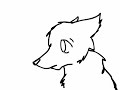 wolf blink