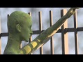 Clicca per Visualizzare : Trasfigurazione