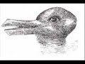 weird and scary illusions