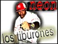 LOS TIBURONES LOS TIBURONES