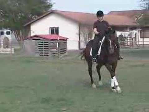 how to dissolve bone spurs