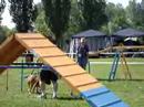 concours agility erstein  11.05.08