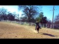 b-bop goes horseback riding b-bop goes horseback riding
