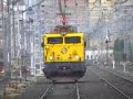 Treneo Rápido por Miranda de Ebro (Burgos)
