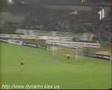 goles y jugadas tontas