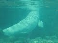 Mystic Aquarium