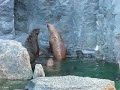 Mystic Aquarium