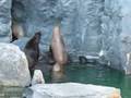 Mystic Aquarium