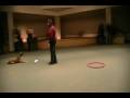 videos de Clicker trained chain, Ace