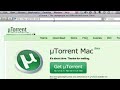 Bittorrent for Mac