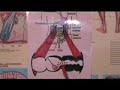 Colon Cleanse Part 2 Small Intestine Cancer