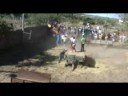 Garraiada em Algodres parte 2