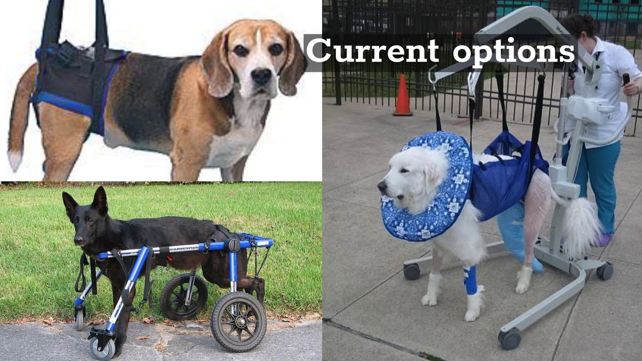 Crowdfunding for Exoskeleton