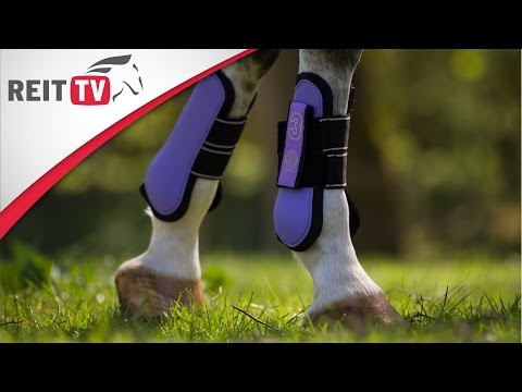 Reiten lernen: Gamaschen anlegen