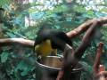 videos de Texas State Aquarium 13