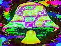 13th Floor Elevators
