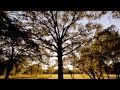 Jeremiah Warren's 2011 Videography and Cinematography Demo Reel - Sony EX1 and Canon 5D Mark II