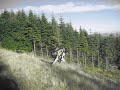near issaquah, wa. there is pooh pooh trail and 1400+ vertical from takeoff to landing. a beautiful hike or flight. this is a south takeoff. there is also a north takeoff point with a beautiful view of bellevue.