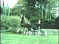 Lexington Hackney Promo Video