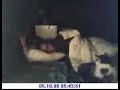 Cat Annoys Sleeping Guy All Night