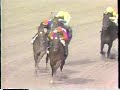 1989 Gotham Stakes Easy Goer 1989 Gotham Stakes Easy Goer