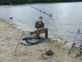 Meine Karpfen im Jahr 2007