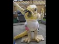 Cthulhu Sculpture Montage