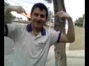 Cotidiano escolar {Alexandre Fantastico e Fofura}