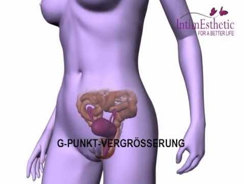 erotikgeschichte stellung g punkt erotikgeschichte stellung g punkt