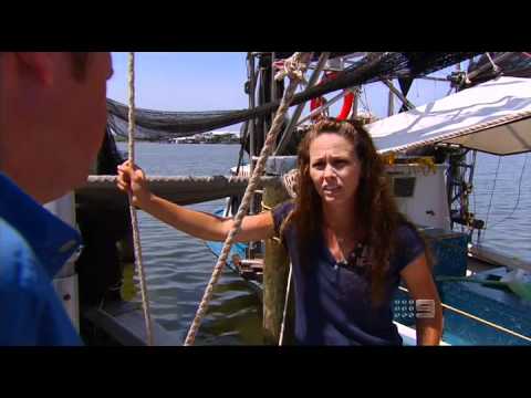 BP oil disaster - The Deepwater Horizon oil spill (also referred to as the BP oil spill, the Gulf of Mexico oil spill, the BP oil disaster or the Macondo blowout) is an oil sp...