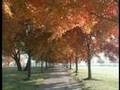 Thanksgiving-Day-on-